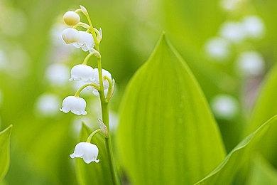 《格式塔：蒸汽与煤渣》登陆Steam 手工蒸汽朋克风2D动作